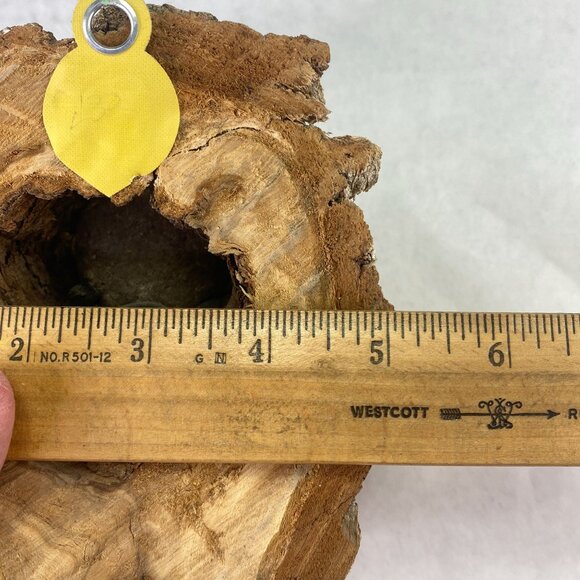 Vintage Painted Rock Owl in Wood Tree Branch Wall Decor - Picture 9 of 10